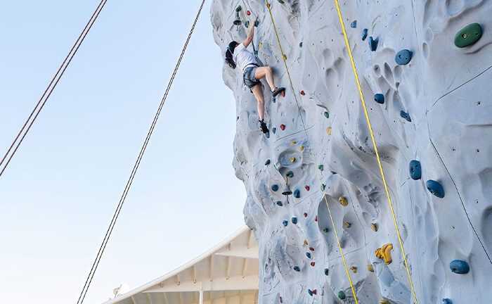 Rock Climbing Wall